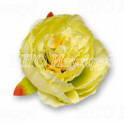Пион (d = 8см; h = 7см) уп 20шт 